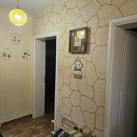 Arlo Nest Tirana